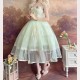 French Rose Classic Lolita Dress JSK by Alice Girl (AGL49)